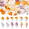 30Pcs 6 Styles Mushroom Series Resin Display Decorations DJEW-TA0001-21-2