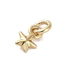 Brass Charms KK-H493-01G-09-2