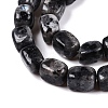 Natural Larvikite Beads Strands G-T138-106-3