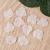 Transparent Frosted Acrylic Leaf Pendants X-PAF002Y-14-4