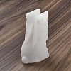 Rabbit DIY Silicone Rabbit Ornaments Molds SIMO-R010-03C-3