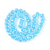 Handmade Lampwork Beads LAMP-T022-12B-2