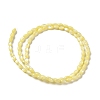 Natural Trochus Shell Beads Strands SHEL-K006-19C-2