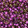 Glass Seed Beads X1-SEED-H002-B-D207-3