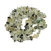 Prehnite Chip Bead Strands G-M205-11-5
