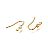 304 Stainless Steel Earring Hooks STAS-D310-01G-03-2