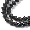 Natural Labradorite Beads Strands G-C171-E01-01-4