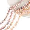 2 Strands 2 Styles Natural Cultured Freshwater Pearl Beads Strands PEAR-GA0001-03-1