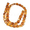Natural Amber Beads Strands G-C260-A01-06-3