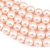Wrinkle Textured Shell Pearl Beads Strands BSHE-E016-10mm-09-4