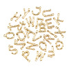 Alloy Pendants PALLOY-S137-001-NR-2