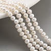 Natural Cultured Freshwater Pearl Beads Strands PEAR-C003-39-2
