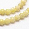 Natural Chrysocolla Beads Strands G-N0198-01-2mm-3