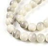Baking Paint Glass Beads Strands DGLA-N013-10mm-02-3
