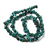 Natural HuBei Turquoise Bead Strands G-H345-A01-14-3