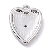 Brass Micro Pave Cubic Zirconia Charms ZIRC-I054-14P-01-3