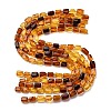 Gradient Color Natural Amber Beads Strands G-F803-D01-03-3