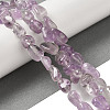 Natural Amethyst Beads Strands G-B078-D21-01-2