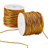 2 Rolls Polyester Metallic Elastic Round Cord OCOR-CY0003-50A-1
