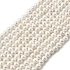Electroplated Shell Pearl Beads Strands BSHE-K017-5mm-1