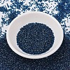 MIYUKI Delica Beads X-SEED-J020-DB1763-2