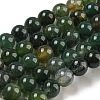 Natural Moss Agate Round Beads Strands G-S151-6mm-2