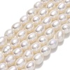 Natural Cultured Freshwater Pearl Beads Strands PEAR-J006-17D-1