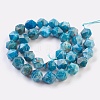 Natural Apatite Beads Strands G-F568-025-10mm-2