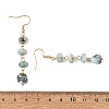 Natural Larimar Dangle Earrings EJEW-JE07529-5