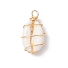 Natural Cowrie Shell Copper Wire Wrapped Pendants PALLOY-JF03368-2