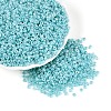 8/0 Glass Seed Beads SEED-US0003-3mm-154-4