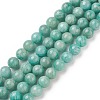 Natural Amazonite Beads Strands X-G-F461-12-6mm-01-1