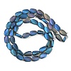 Electroplate Glass Beads Strands EGLA-C009-01B-FR01-2