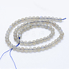 Natural Labradorite Beads Strands G-J373-14-4mm-3