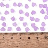 FGB Frosted Transparent Glass Seed Beads SEED-N013-03A-07-4