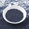 MIYUKI Round Rocailles Beads SEED-X0054-RR0358-2
