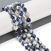 Natural Sodalite Beads Strands G-O201B-112F-1