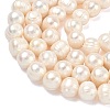 Natural Cultured Freshwater Pearl Beads Strands PEAR-L034-12B-3