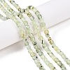 Natural Prehnite Beads Strands G-N342-124-4