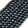 Dyed Natural Cultured Freshwater Pearl Beads Strands PEAR-L034-18A-2