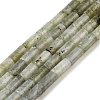 Natural Labradorite Beads Strands G-B091-A09-01-1