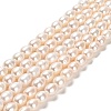 Natural Cultured Freshwater Pearl Beads Strands PEAR-E016-196-1