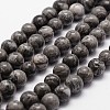 Natural Map Stone/Picasso Stone/Picasso Jasper Beads Strands G-G735-27-10mm-1