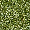 Picasso Baking Paint Glass Seed Beads SEED-N007-37H-3