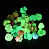 26Pcs 13 Styles Luminous Resin Mushroom Desk Decoration FIND-XCP0003-22-3