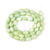 Natural Trochus Shell Beads Strands X-SHEL-K006-19-01C-2