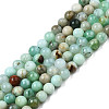 Natural Chrysoprase Beads Strands X-G-S333-4mm-016-1