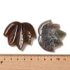 Natural Indian Agate Carved Pendants G-K353-01O-3