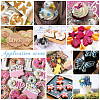 15Pcs 15 Style 430 Stainless Steel Cookie Cutters DIY-PH0010-18-4