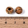 Natural Picture Jasper Beads G-Q602-08A-09-3